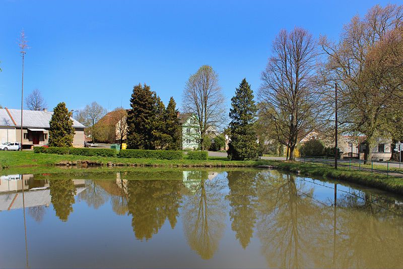 File:Kšice, common pond.jpg