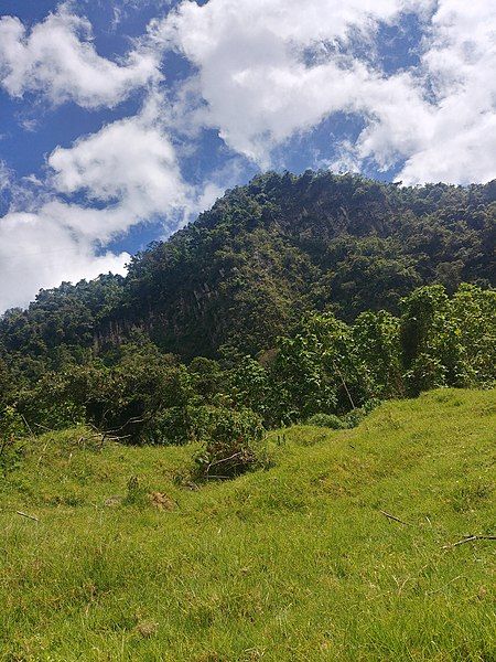 File:Manizales.jpg