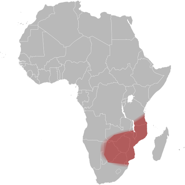 File:Map-Africa snakes Naja-mossambica.svg