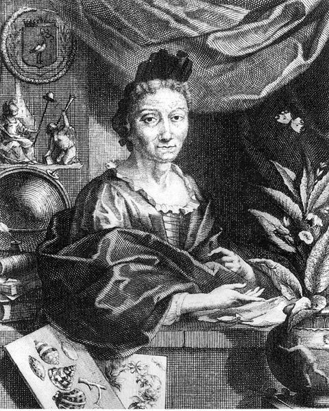 File:Merian Portrait.jpg