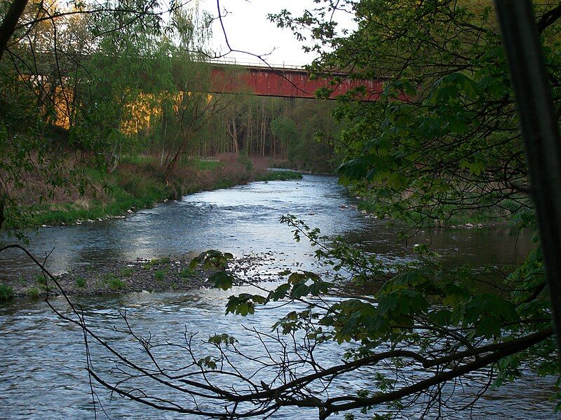 File:Muldentalbahn bei Chemnitzmündung.JPG