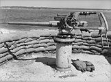 A 3-pounder coastal-defense gun at Port Jackson 1942.