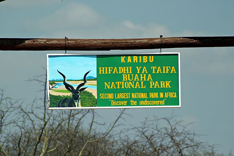 File:Ruaha National Park.jpg