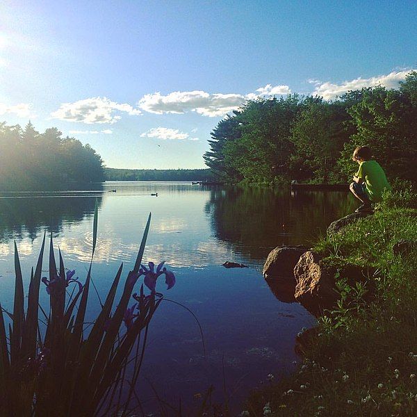 File:Sheldrake Lake.jpg