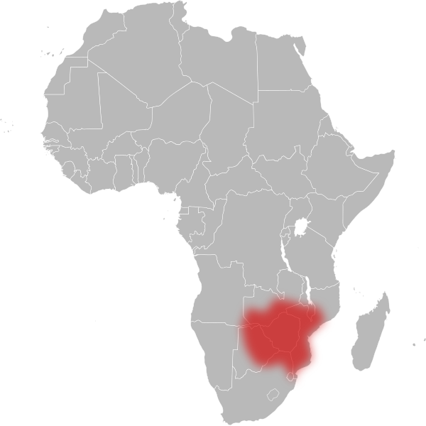 File:Snouted cobra range.svg