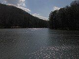 Standing Stone Lake, looking toward its Bryans Fork embayment