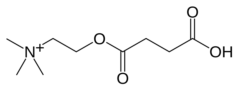 File:Succinylmonocholine.svg