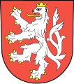 Coat of arms of Tachov (use this as a base for the lion)