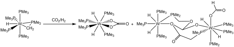 File:W(PMe3)4(η2-CH2PMe2)H with CO2.png