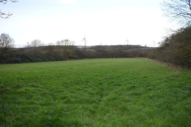 File:Yelden Meadows.JPG