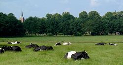 Zicht op Gieten vanaf de Hondsrugweg