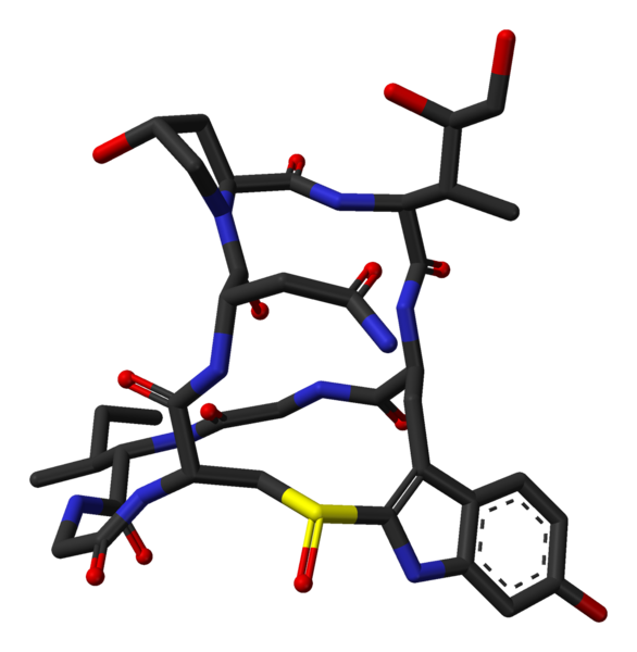 File:Alpha-amanitin-from-xtal-1k83-3D-sticks-skeletal.png