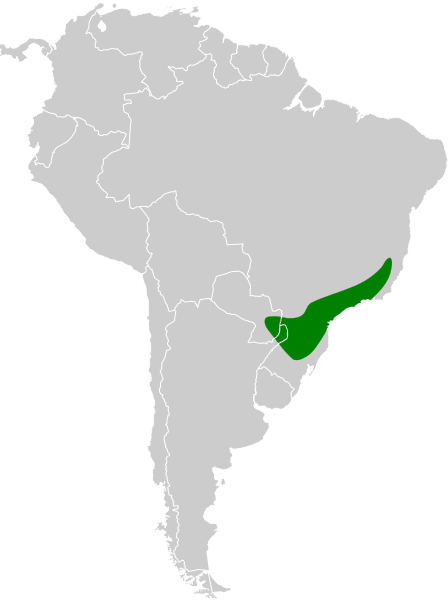 File:Anabacerthia amaurotis map.svg