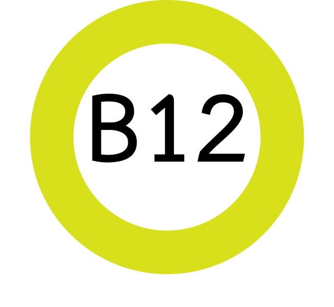 File:Bangkok BRT B12.svg