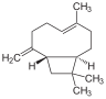 Caryophyllene, which is pervasive but especially in cloves.