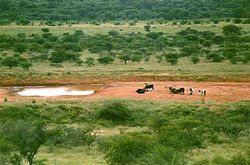 Waterhole in Serowe