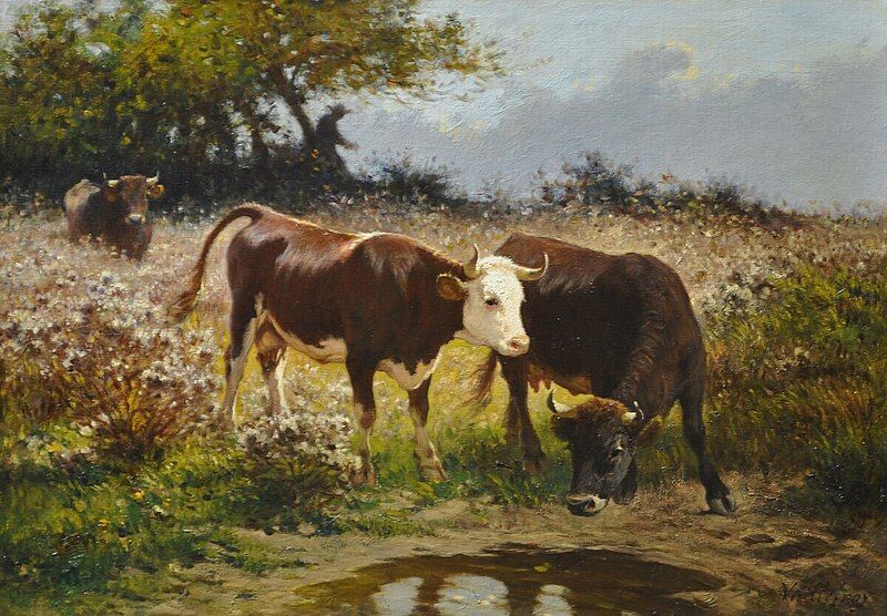 File:Cattle watering.jpg