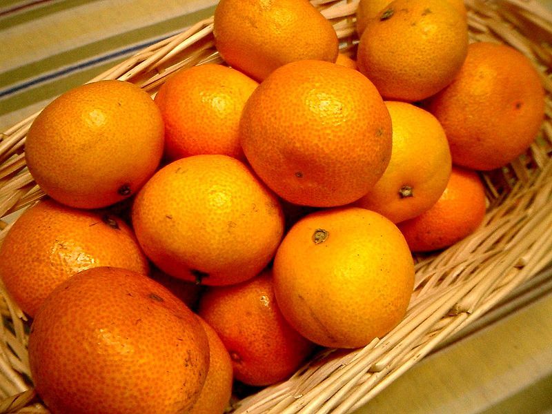 File:Citrus unshiu-温州蜜柑-4.jpg