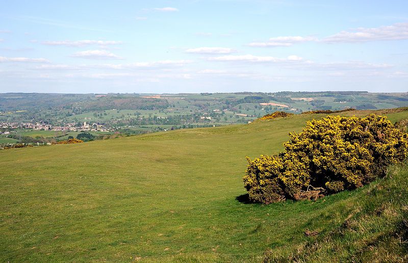 File:Cleeve Common.jpg