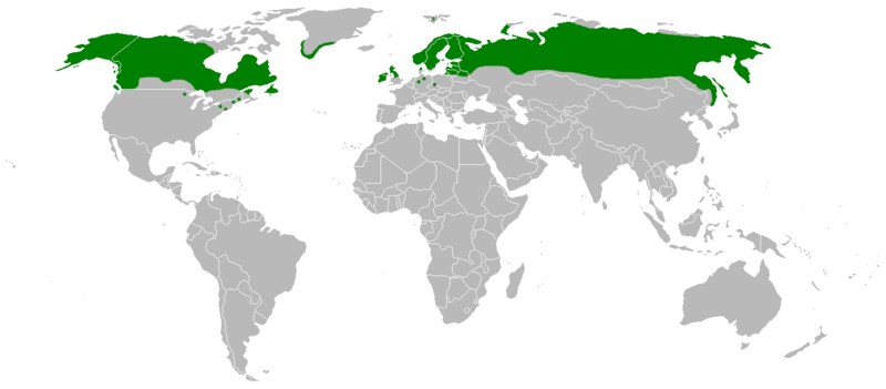 File:Cloudberry distrib.png