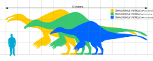 Size comparison