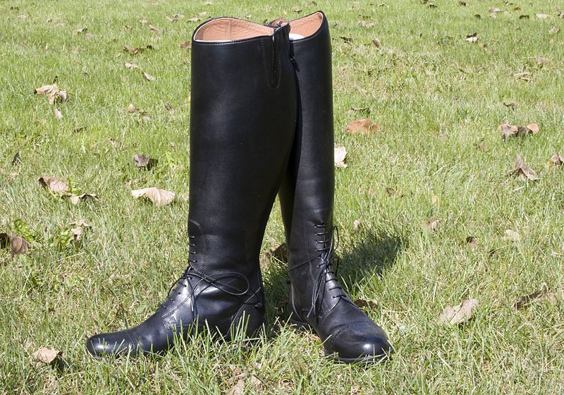 File:Fieldboots.jpg