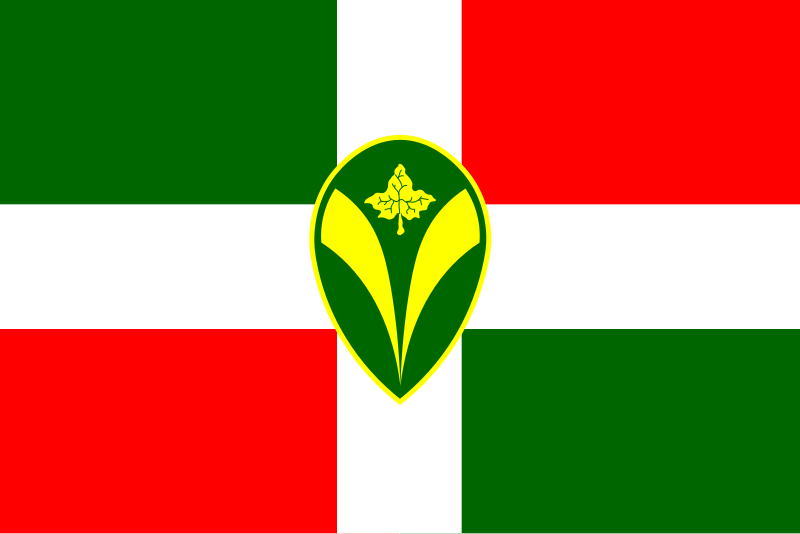 File:Flag of CISV.svg