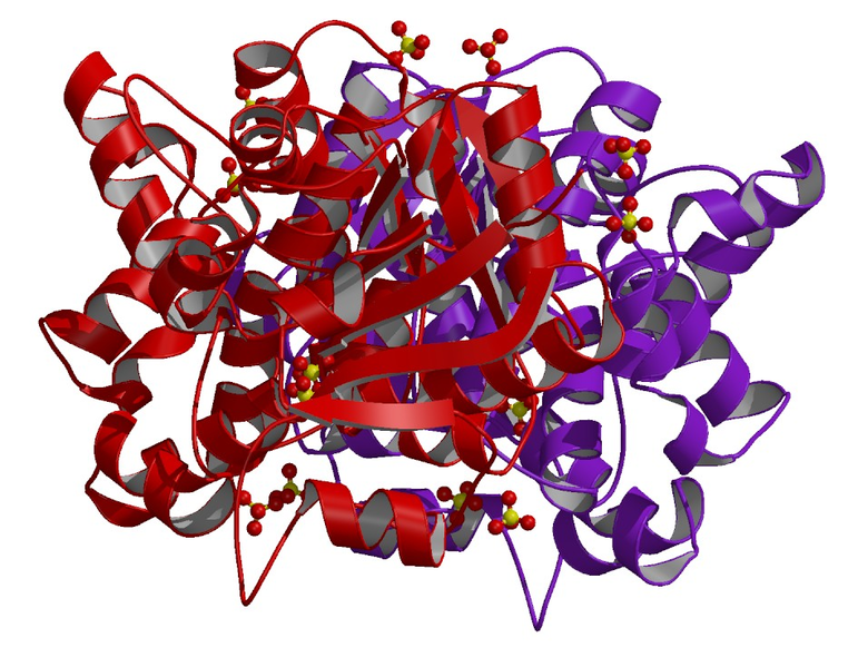 File:Glycerol-3-phosphate dehydrogenase 1.png