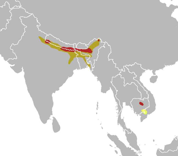 File:Houbaropsis bengalensis map.png