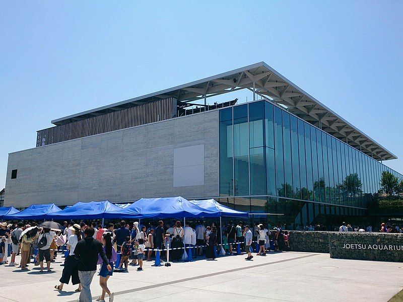 File:Joetsu Aquarium Umigatari.jpg