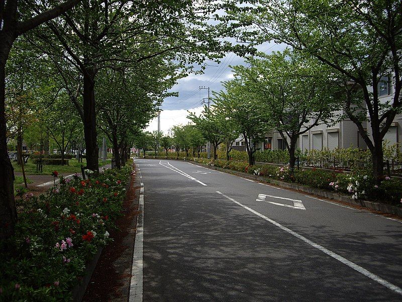 File:Kinunosato2 1 Joso-city.JPG