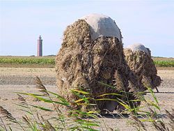 Typical landscape in Ouddorp