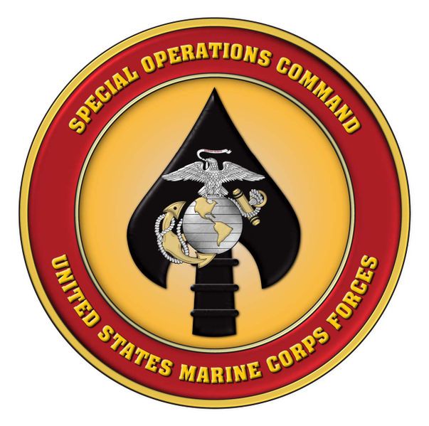 File:MARSOC Emblem.jpg