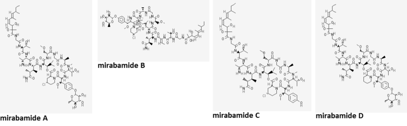 File:Mirabamide A-D.png