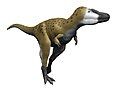 Nanotyrannus