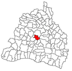 Location in Dolj County