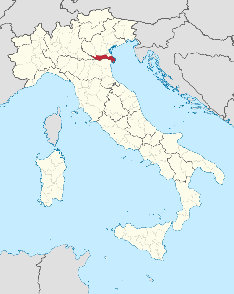 File:Rovigo in Italy.svg