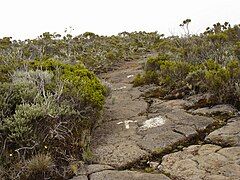 A trail leading to the Roche Écrite summit