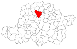 Location in Arad County