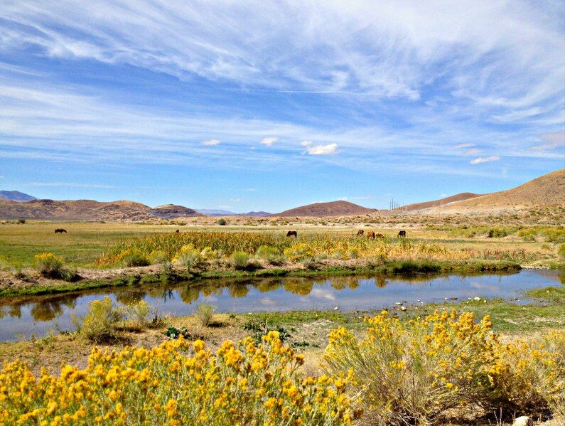 File:Steamboat Creek Reno.jpg