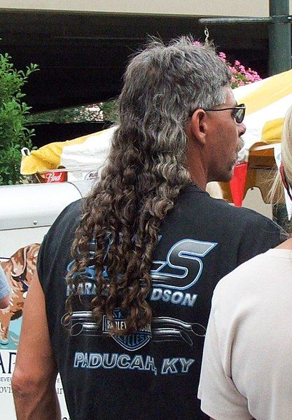 File:SuperMullet.jpg