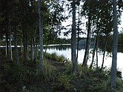 The Yellowknife River, about 9.1 km (5.7 mi) from Yellowknife, looking downstream