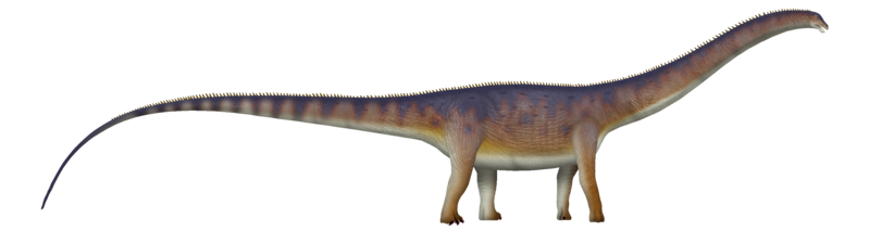 File:Ardetosaurus UDL.png