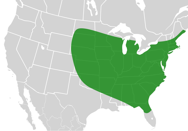 File:Bombus bimaculatus distribution.svg