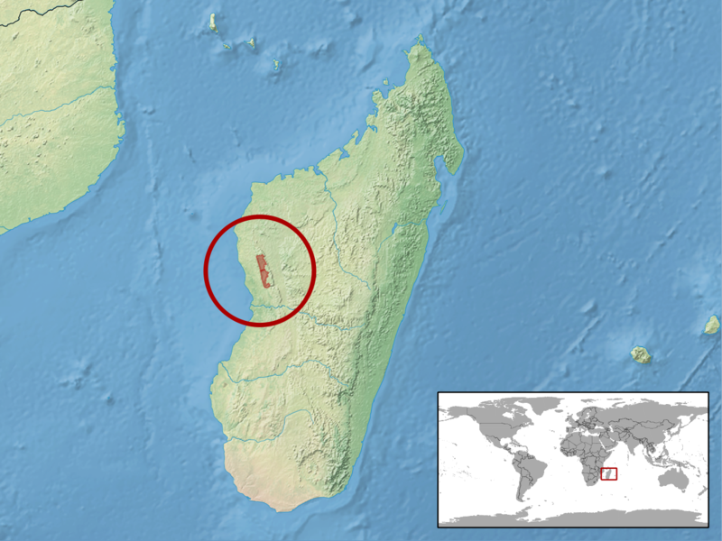 File:Brookesia exarmata distribution.png