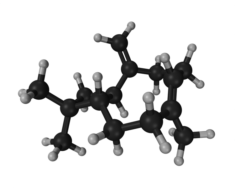 File:Caryophyllene.png