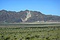 A cat-shaped sand dune on-laps onto the Cronese Mountains, California