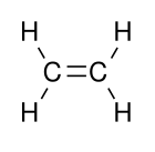 ethylene skeleton