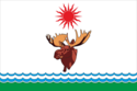 Flag of Oyusardakh