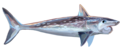 Helicoprion